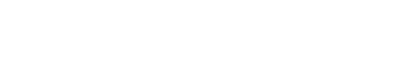 Youth for Purpose Africa Logo